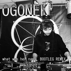 Dave Clarke feat Chicks On Speed - What Was Her Name (Ogonek bootleg Remix)  Free Download