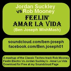 Jordan Suckley Vs Rob Moony - Feelin' Amar La Vida (Ben Joseph MishMash) - 9B - 130bpm