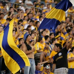 HIMNO DE LOS TIGRES ¡CELEBRAMOS EL FÚTBOL COMO NADIE!