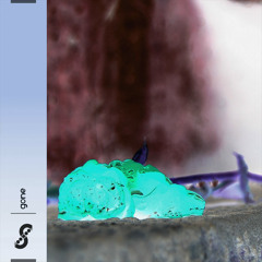 Gone - remix (radio version)