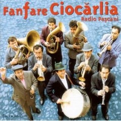 Fanfare Ciocarlia - Arapeasca (DJ Delay's *core mix)