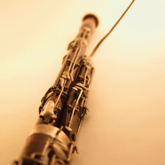 1. Konçerto Denemesi - Ufuk Sarp Selçok