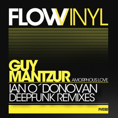 Guy Mantzur - Amorphous Love (Original Mix) -Short Low fi Sample