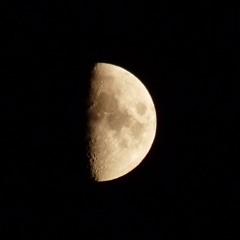 Ulysses 1990 (Moon songs)