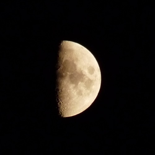 Ulysses 1990 (Moon songs)