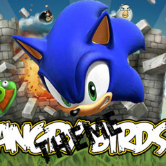 DJ Sega-The Angry Birdz Theme