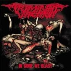 CRIMINAL VAGINA-Criminal Vagina - infeksi liang senggama (Album - In Gore We Blast re-issue (2010)