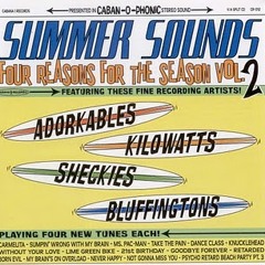 The Sheckies - Sumpin' Wrong With My Brain - Summer Sounds- Four Reasons for the Season Vol. 2