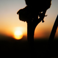 L. Kohle - Lest we Forget