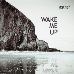 Wake Me Up