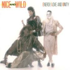 Nice & Wild - Diamond Girl (MCB DJ Edit)