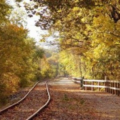 你不知道的事 (王力宏) Piano ref