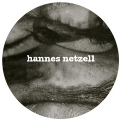 Theo Parrish Took Me All The Way Back - Hannes Netzell