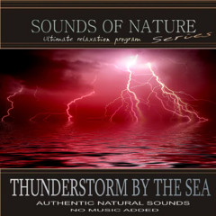 Thunderstorm By The Sea (Sounds of Nature)
