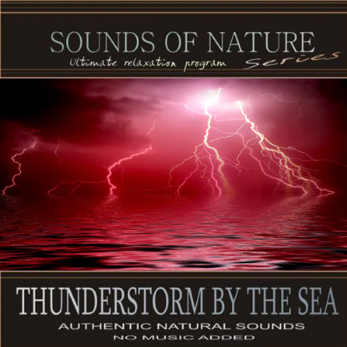Thunderstorm By The Sea (Sounds of Nature)