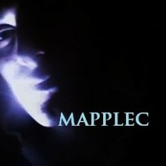 Mapplec - Who cares