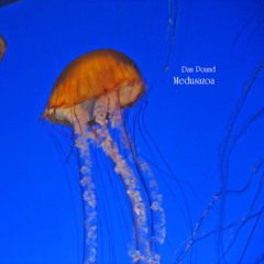 06 - Dan Pound - Bioluminescence - Medusazoa