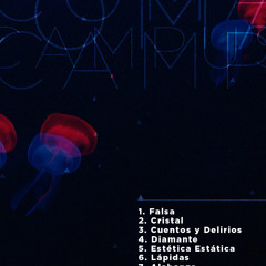 Coma Campus - Falsa