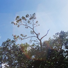 a new light