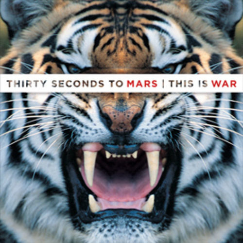 30 Seconds To Mars - This Is War (Simon mix)