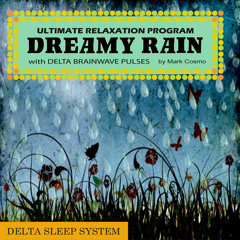 Delta Sleep System: Dreamy Rain