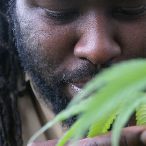 Solo Banton - Dubsystem Addict (2011)