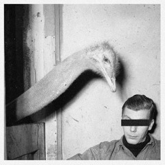 Why Do Fools Fall Out Of Love?