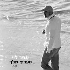 עופר לוי - מעריץ שלך (Ran Mizrahi Remix)