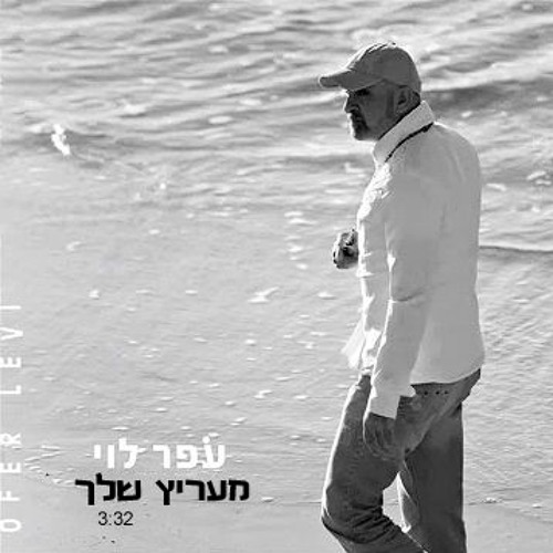 עופר לוי - מעריץ שלך (Ran Mizrahi Remix)