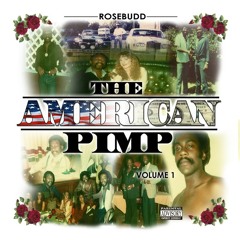 04 chp 1 pt 4 rosebudd the american pimp audio book
