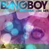 bangboy-verdammt-lang-her-radio-mix-snippet-bangboy