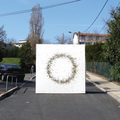 SANDRA KOLSTAD: A BIRD FLEW BY (edit)