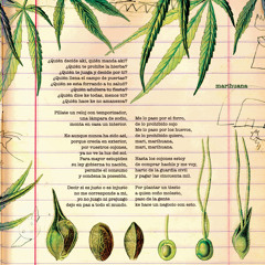 03 - Marihuana
