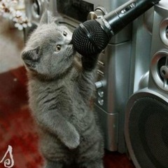 rapper