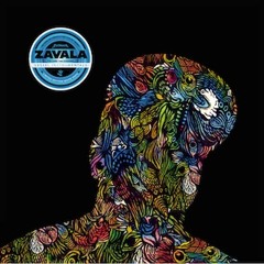 Zavala - E.R. (Dark Time Sunshine Vessel Instrumentals)