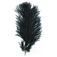 08 Vogelstrauß - Open The Door (Album Version)