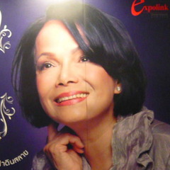 12 ม่านบังตา