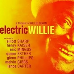 01. Elliott Sharp   Henry Kaiser - Which Came First