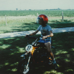 Birdhouse in Your Soul