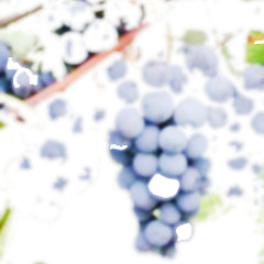 BAHWEE- grape (sdlwdr's notquiteripe remix)