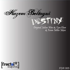 Hazem Beltagui feat Mimi & Teft - Destiny (Julian Wess & Tom Clave Remix)