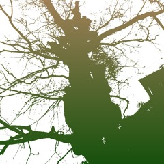 connect on koto from PUELLA MAGI MADOKA MAGICA