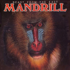 Mandrill - Ratchet (Como Se Va La Cosa)
