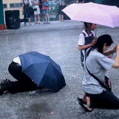 hypothetical alphabets / felicita
