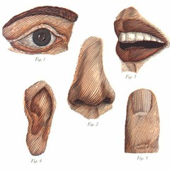 Sumsenses