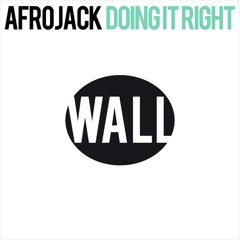 Afrojack - Doing It Right (Nick Andrew & Johnny Concept "Let it Go" Vocal Mash