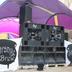 SOUNDWAVE -Project Strange Brew
