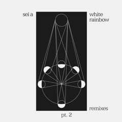 SEI A:  Flicker (Terence Fixmer Remix) Turbo rec