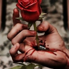 Dear Love