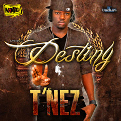 T'Nez - Destiny (Notice Productions)
